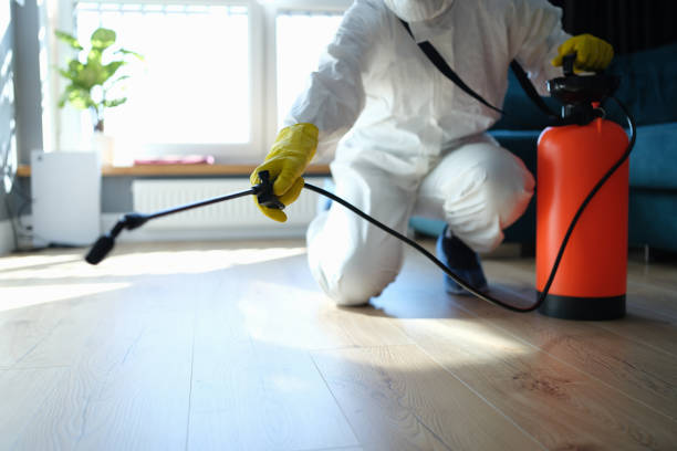 Affordable Sewage Cleanup solutions in Taholah, WA